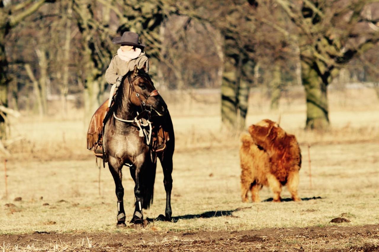 W Diamonds Ranch Διαμέρισμα Grossraschen Εξωτερικό φωτογραφία