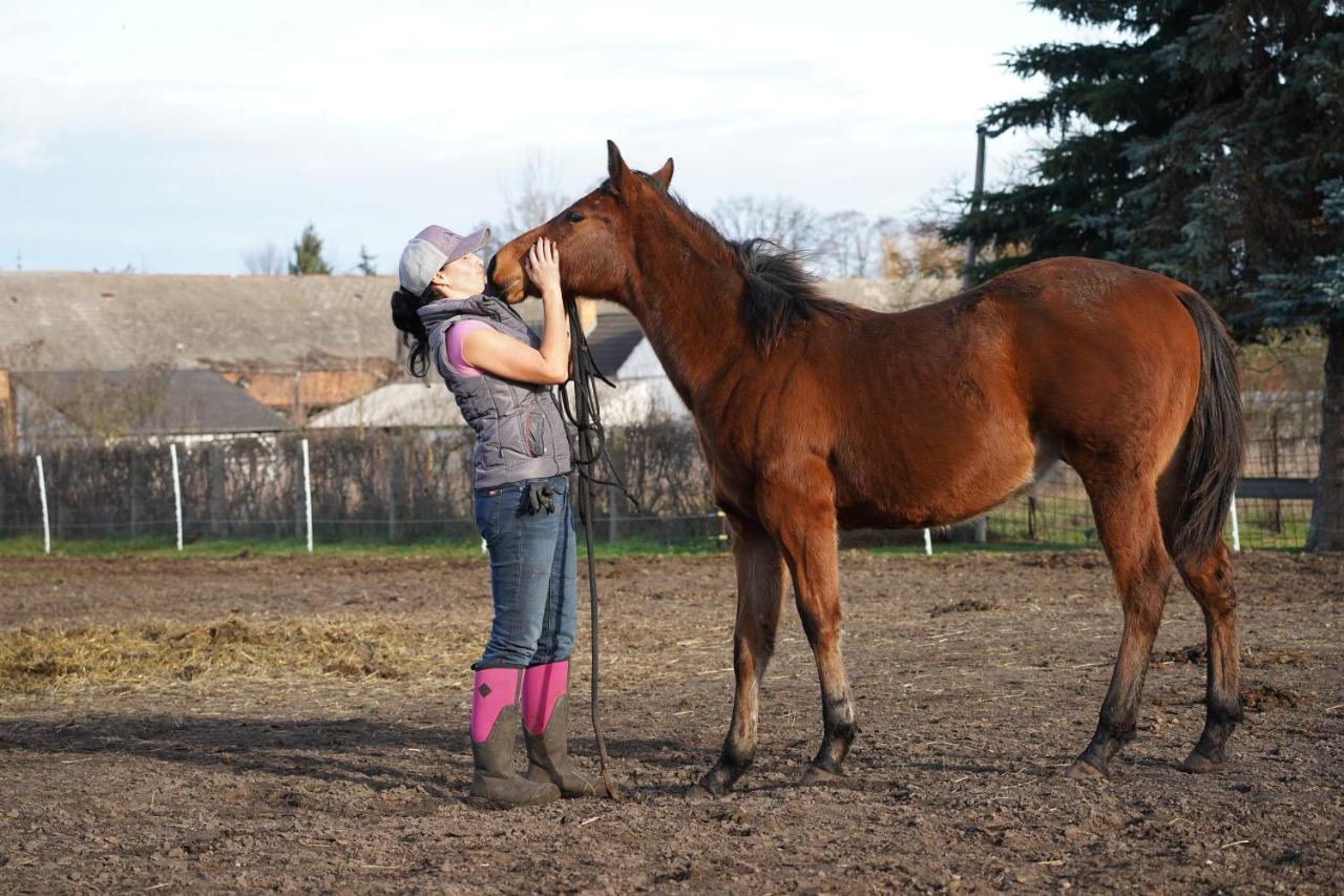 W Diamonds Ranch Διαμέρισμα Grossraschen Εξωτερικό φωτογραφία